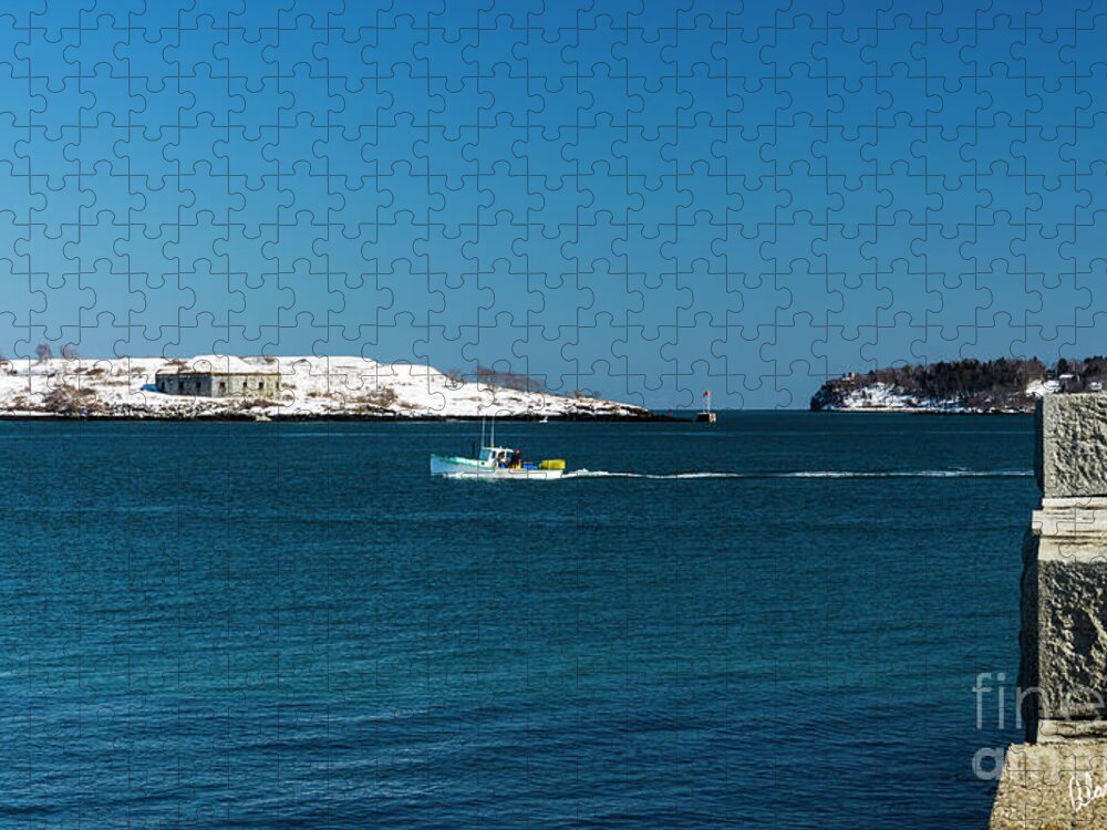 Maine Jigsaw Puzzle featuring the photograph Returing by Alana Ranney