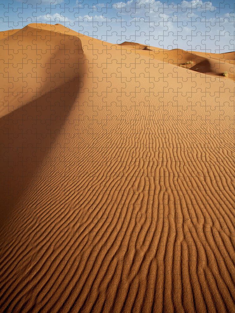 Tranquility Jigsaw Puzzle featuring the photograph Ridges On A Vertical Sand Dune by © Santiago Urquijo