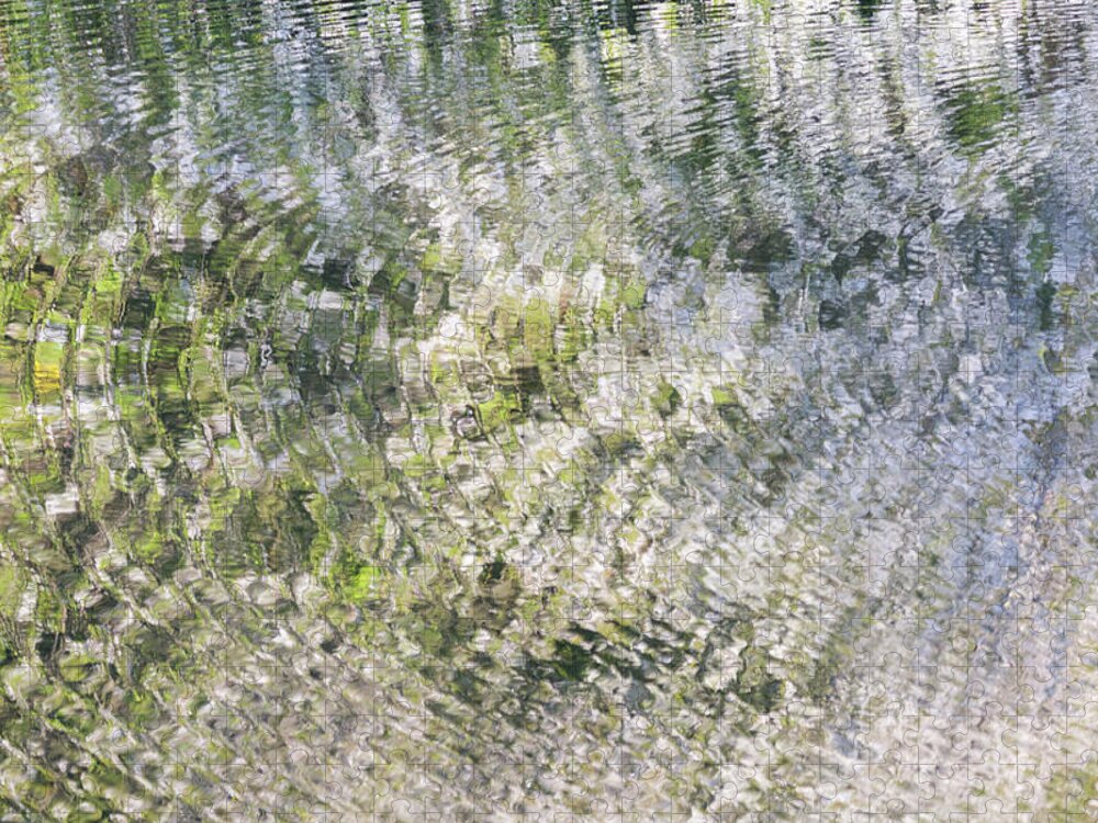 Ripples Jigsaw Puzzle featuring the photograph Ripples on the river with blossom reflections by Anita Nicholson