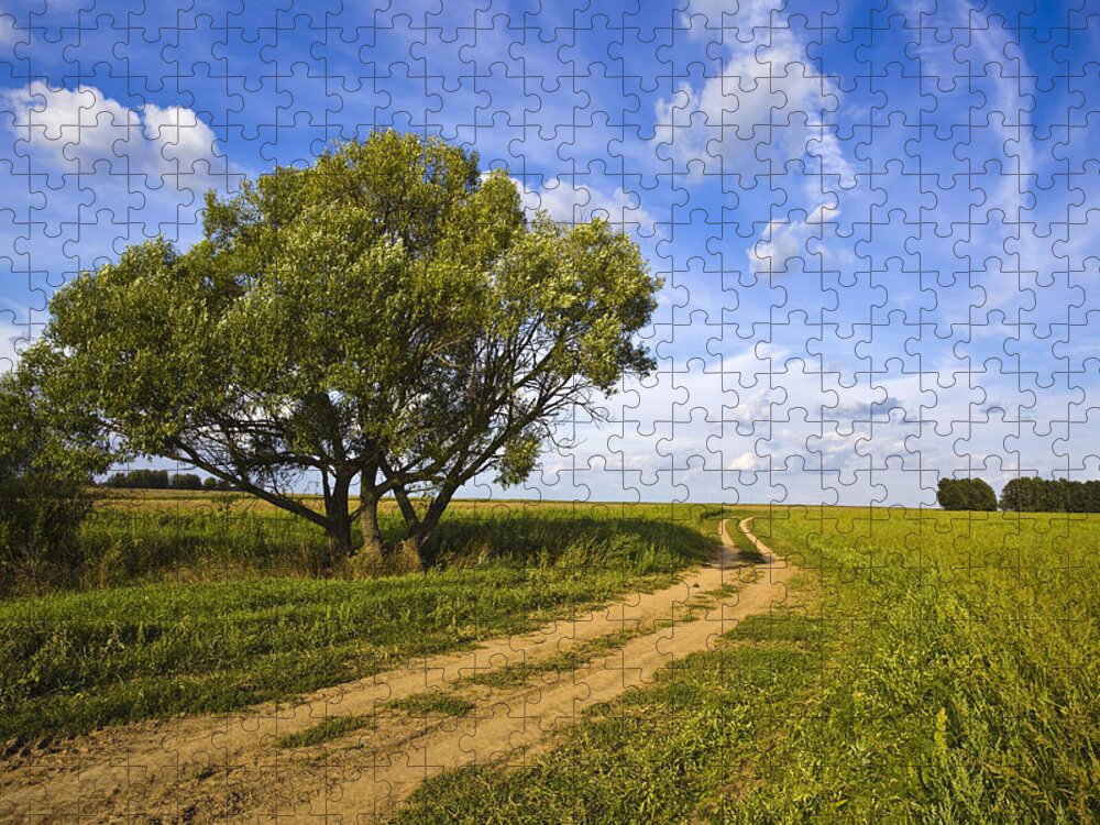 Grass Jigsaw Puzzle featuring the photograph Road In A Field Near Lonely Tree by Picha