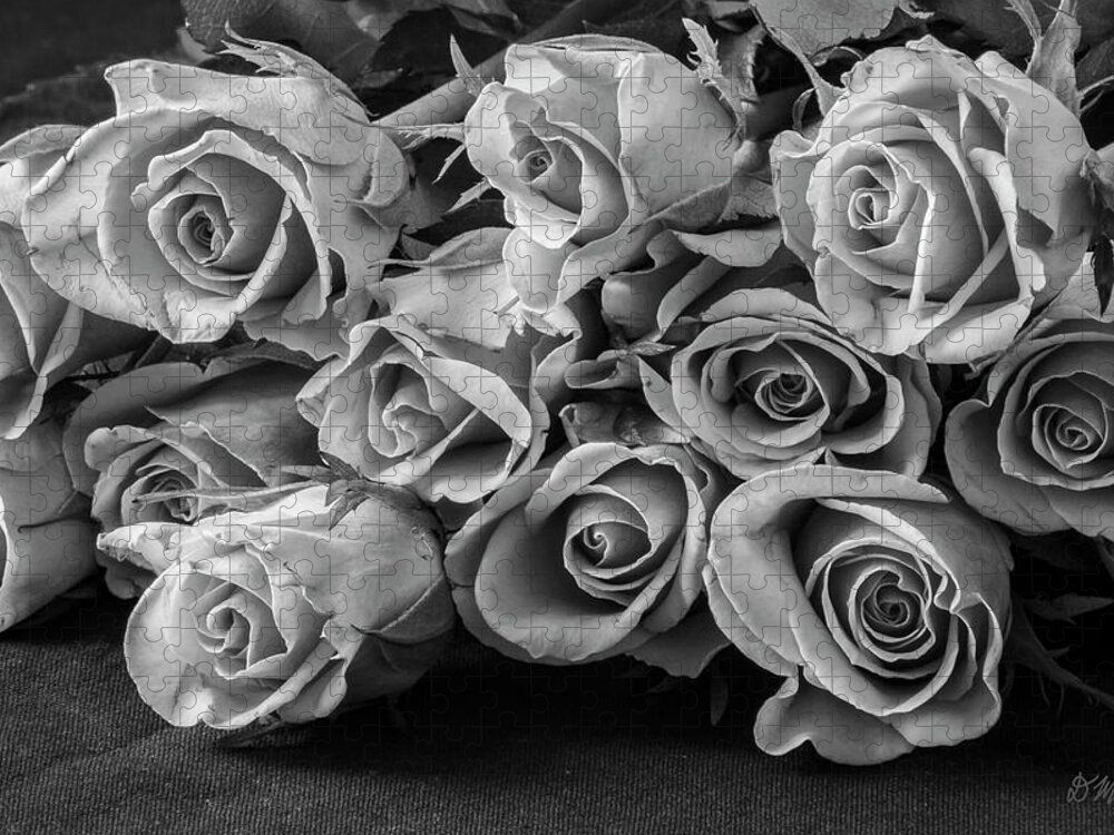 Black Jigsaw Puzzle featuring the photograph Roses I BW by David Gordon