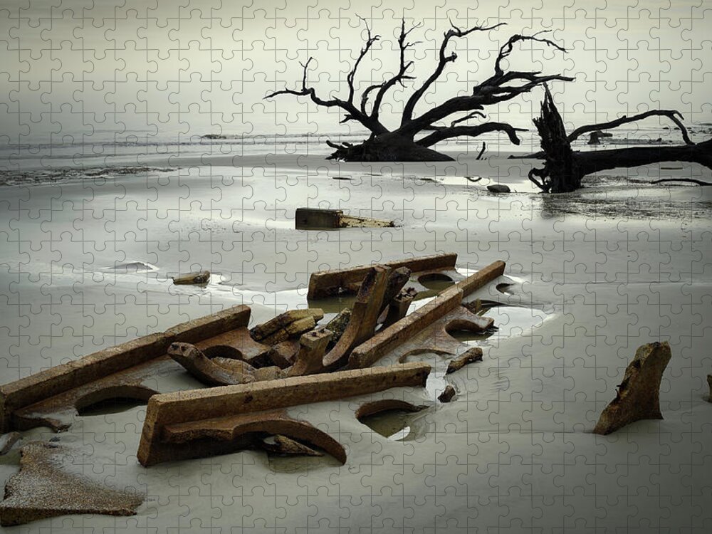 Driftwood Beach Jigsaw Puzzle featuring the photograph Ruins on Driftwood Beach by James Covello