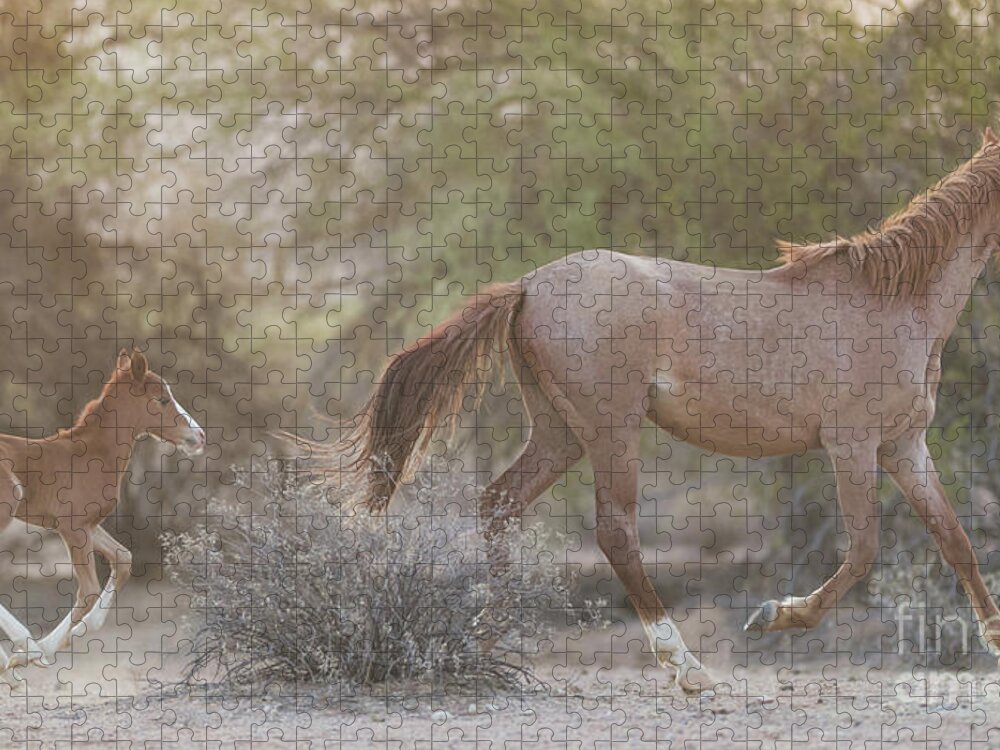 Foal Jigsaw Puzzle featuring the photograph Running by Shannon Hastings