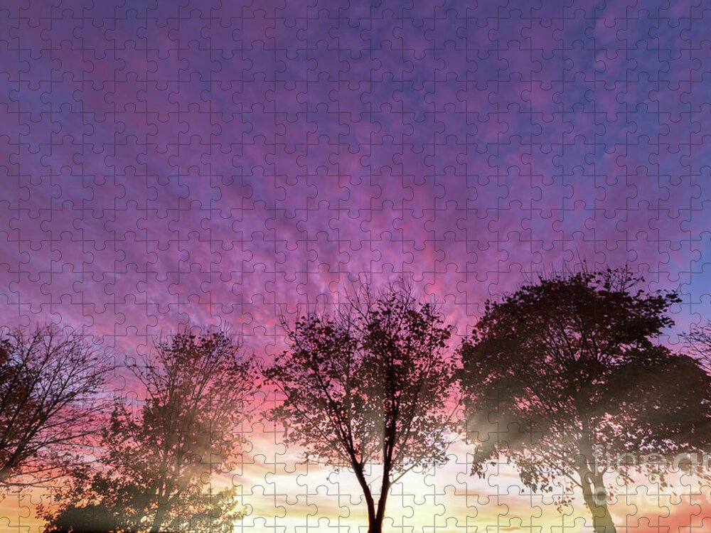 Alone Jigsaw Puzzle featuring the photograph Rural purple sunset over winter trees by Simon Bratt