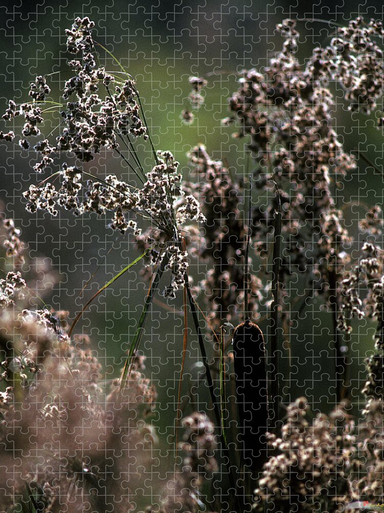 Marsh Jigsaw Puzzle featuring the photograph Rushes and Cattails 7G by Gerry Gantt