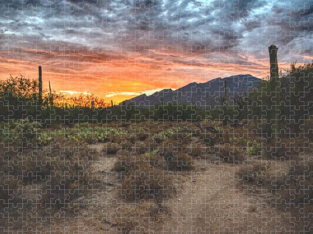Sabino Canyon Jigsaw Puzzle featuring the photograph Sabino Canyon Sunset, Tucson, AZ by Chance Kafka