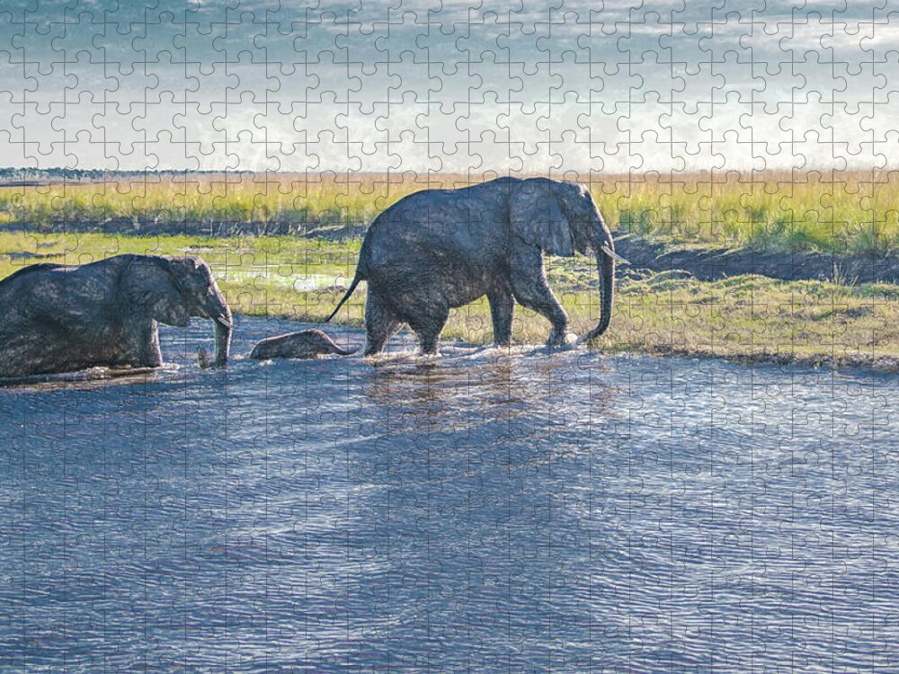 Elephants Jigsaw Puzzle featuring the photograph Safe Crossing by Marcy Wielfaert