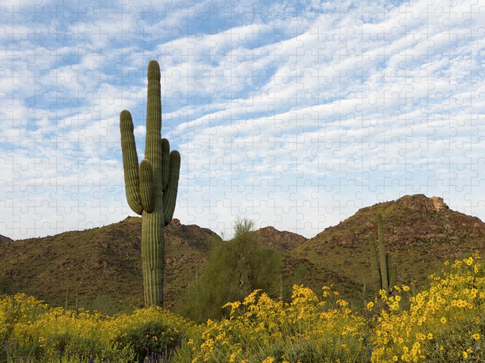Saguaro Cactus Jigsaw Puzzle featuring the photograph Saguaro And Wildflowers by Dustypixel