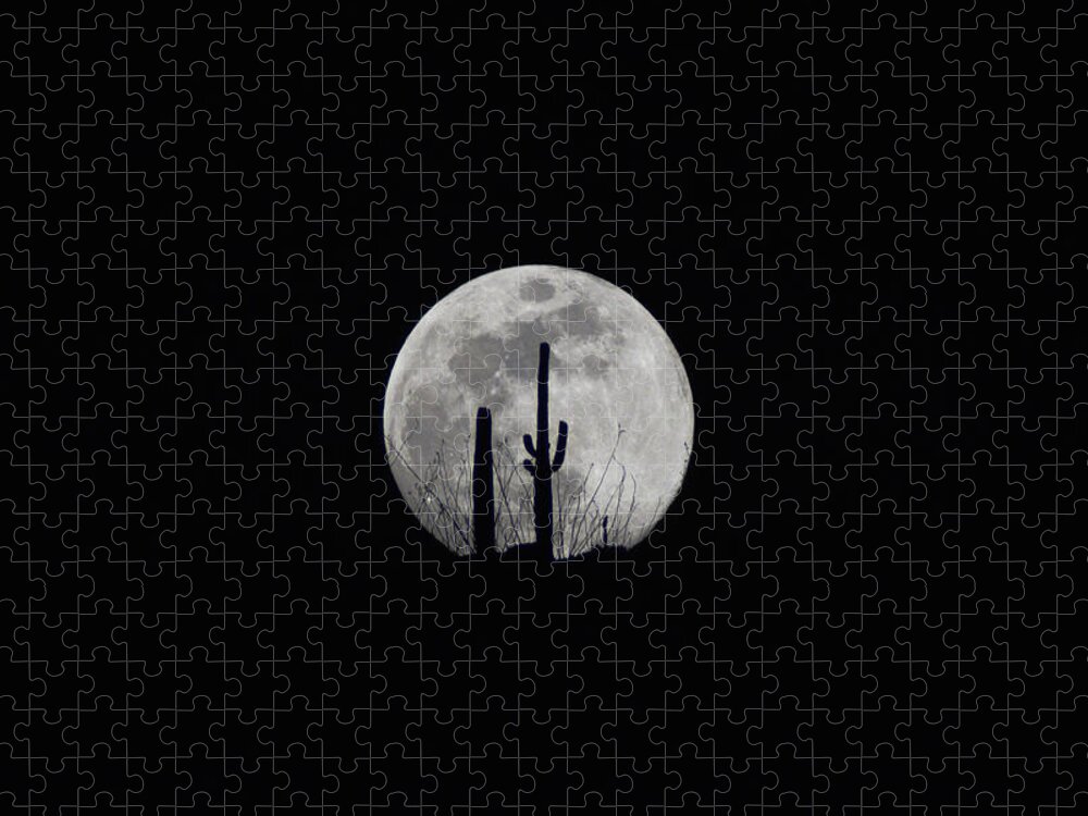 Moon Jigsaw Puzzle featuring the photograph Saguaro Moon Silhouette by Chance Kafka