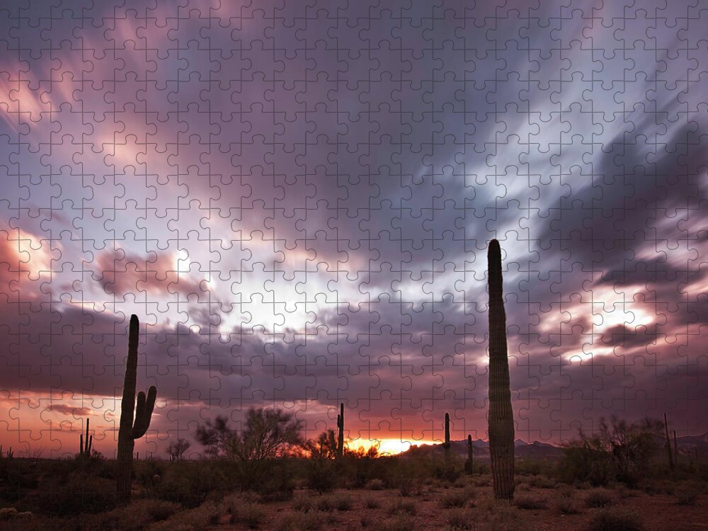 Saguaro Cactus Jigsaw Puzzle featuring the photograph Saguaro Sunset by Norm Cooper