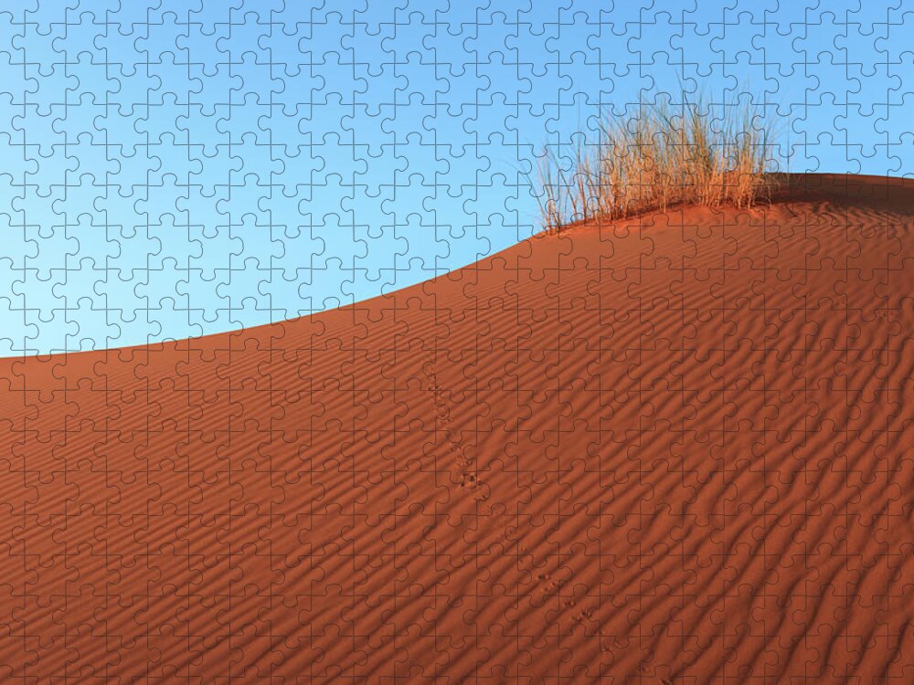 Grass Family Jigsaw Puzzle featuring the photograph Sahara Desert, Morocco by Tunart