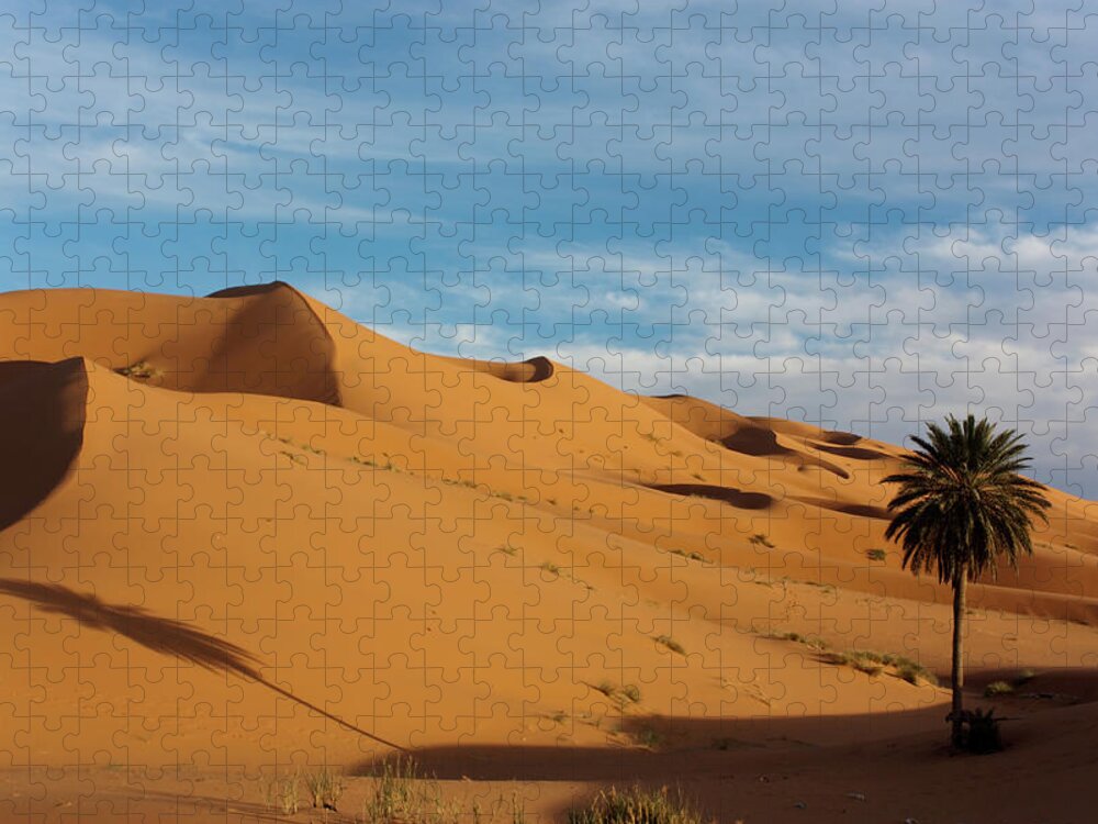Scenics Jigsaw Puzzle featuring the photograph Sahara Desert by Nate Gautsche