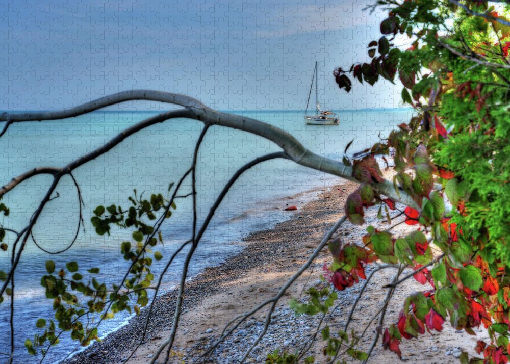 Sailboat Sailing Boat Autumn Red Leaves Lake Michigan Milwaukee Wi Wisconsin Great Lakes Aqua Turquoise Jigsaw Puzzle featuring the photograph Sailboat Serenity - Sailboat anchored in Lake Michigannear Shorewood Nature Preserve in Milwaukee WI by Peter Herman