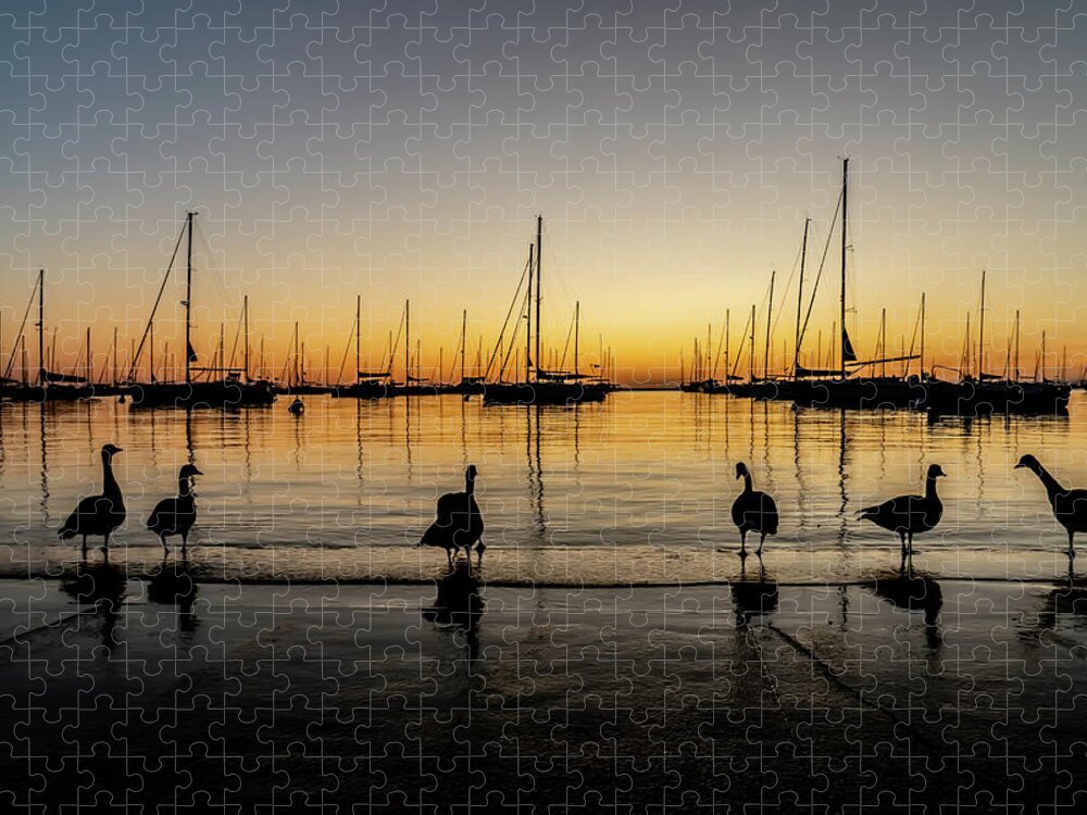 Geese Jigsaw Puzzle featuring the photograph Sailboats and Geese in a Chicago Harbor one beautiful morning by Sven Brogren