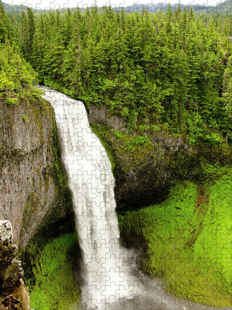 Grass Jigsaw Puzzle featuring the photograph Salt Creek Falls by James Emery