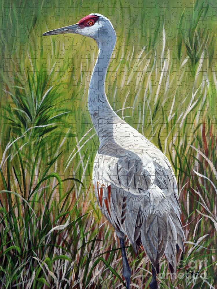 Sandhill Crane Jigsaw Puzzle featuring the painting Sandhill Crane by Jimmie Bartlett