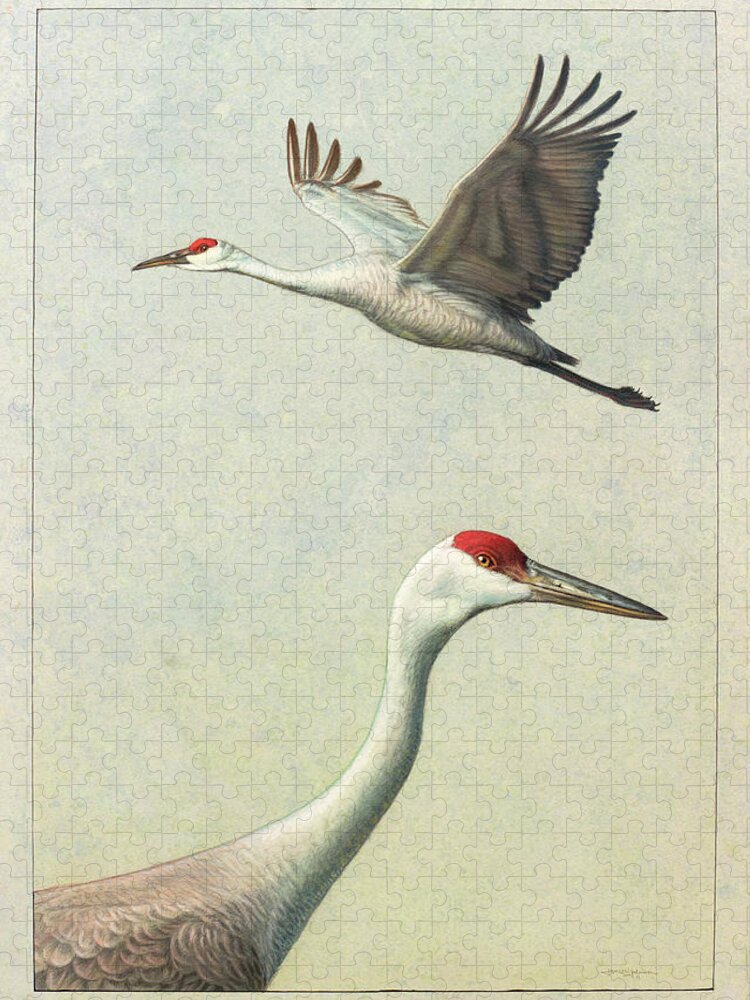 Crane Jigsaw Puzzle featuring the painting Sandhill Cranes by James W Johnson