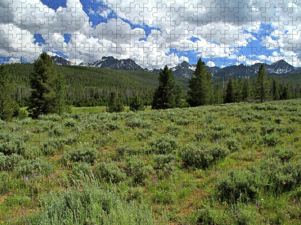Sawtooth Range Jigsaw Puzzle featuring the photograph Sawtooth Range Crooked Creek by Ed Riche