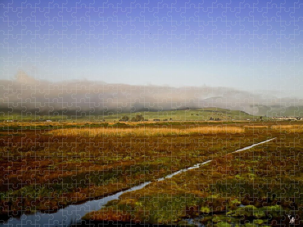 Landscape Jigsaw Puzzle featuring the photograph Scenic Landscape by Joyce Dickens