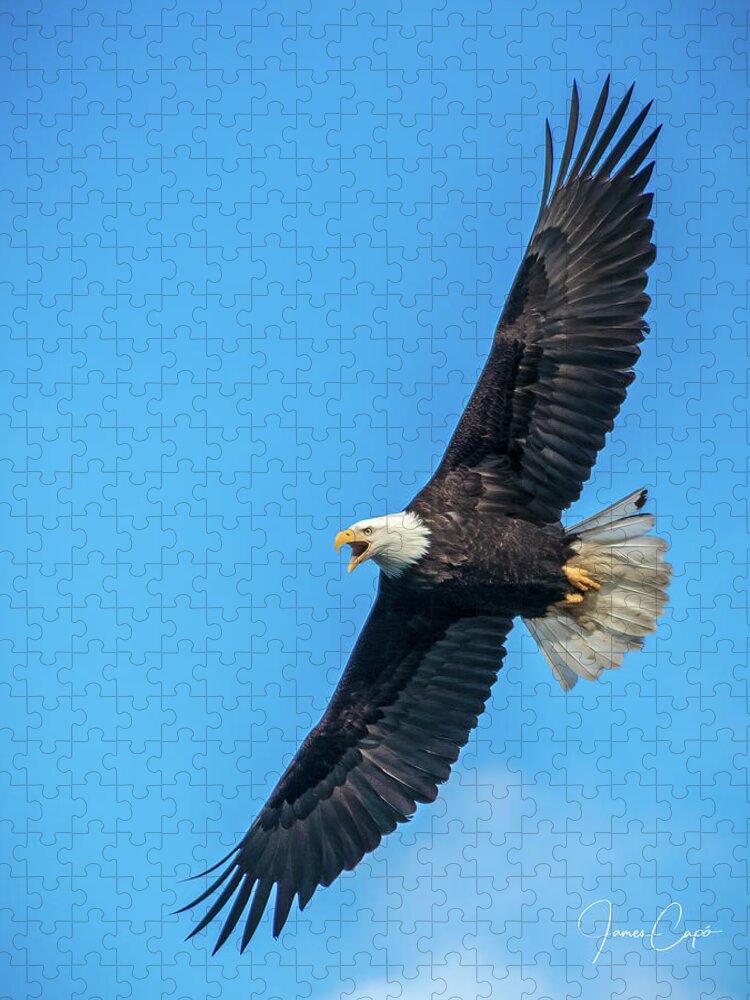 Alaska Jigsaw Puzzle featuring the photograph Screaming Eagle by James Capo