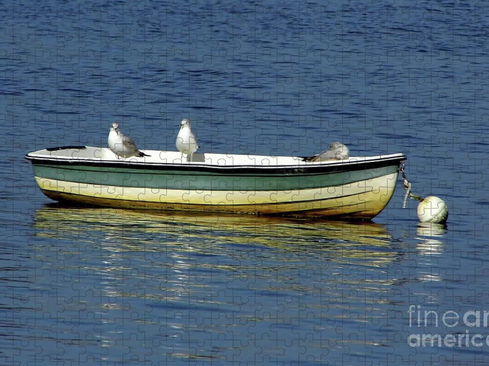 Boats Jigsaw Puzzle featuring the photograph Sea Gull Boat by D Hackett