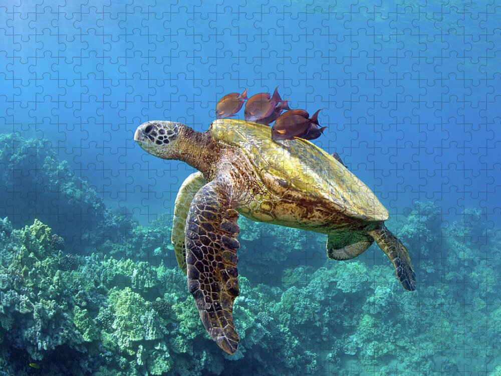 Underwater Jigsaw Puzzle featuring the photograph Sea Turtle Underwater by M.m. Sweet