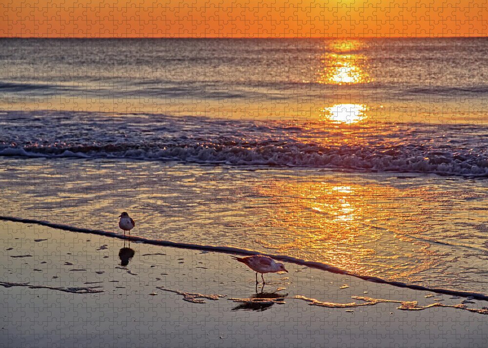 Seagulls Sunrise Beach Ga Georgia Tybee Waves Water Ocean Jigsaw Puzzle featuring the photograph Seagull Sunrise - Tybee Island Beach sunrise by Peter Herman