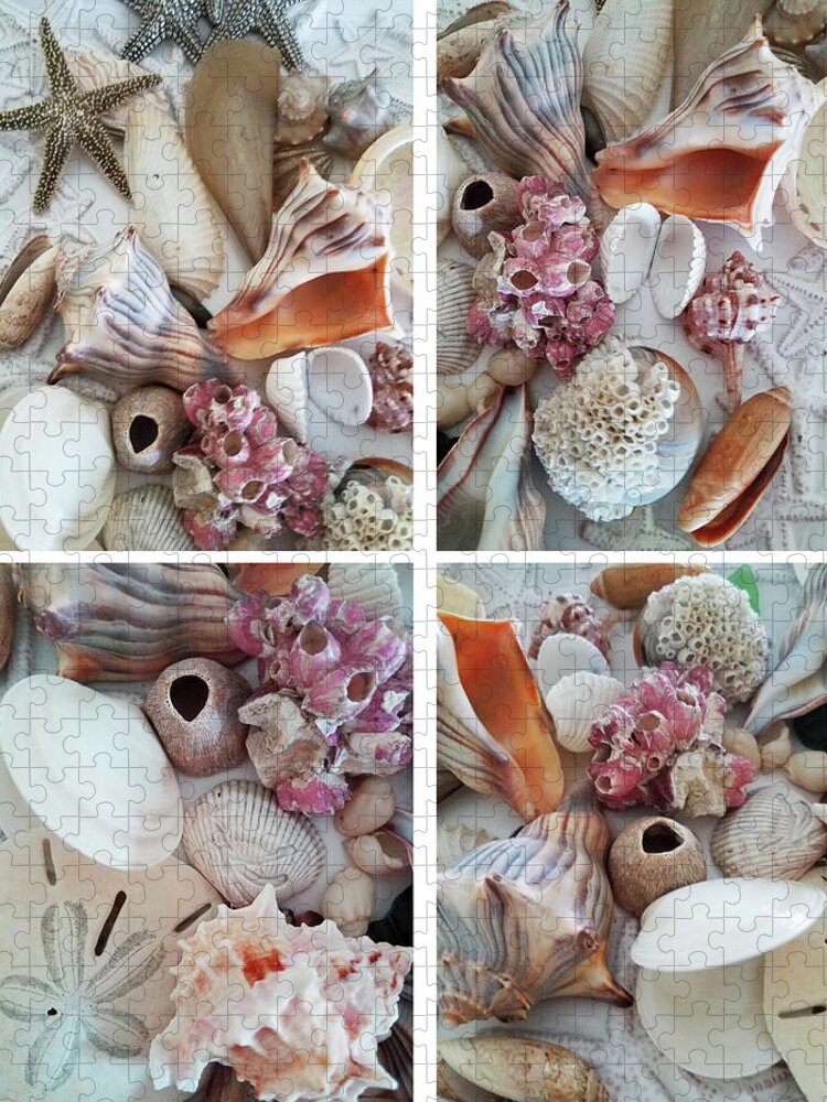 Still Life Jigsaw Puzzle featuring the photograph Seashell Assortment Quadriptych by Sharon Williams Eng
