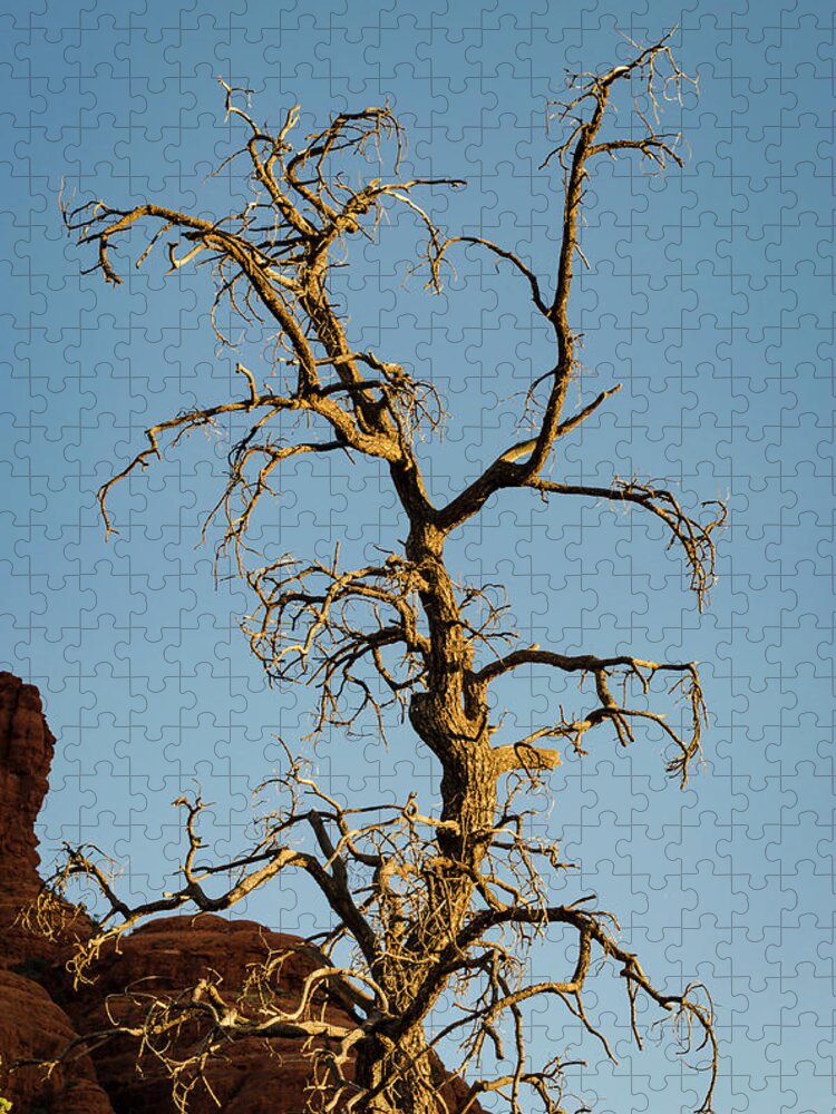 Arizona Jigsaw Puzzle featuring the photograph Sedona Landscape XXXII Color by David Gordon