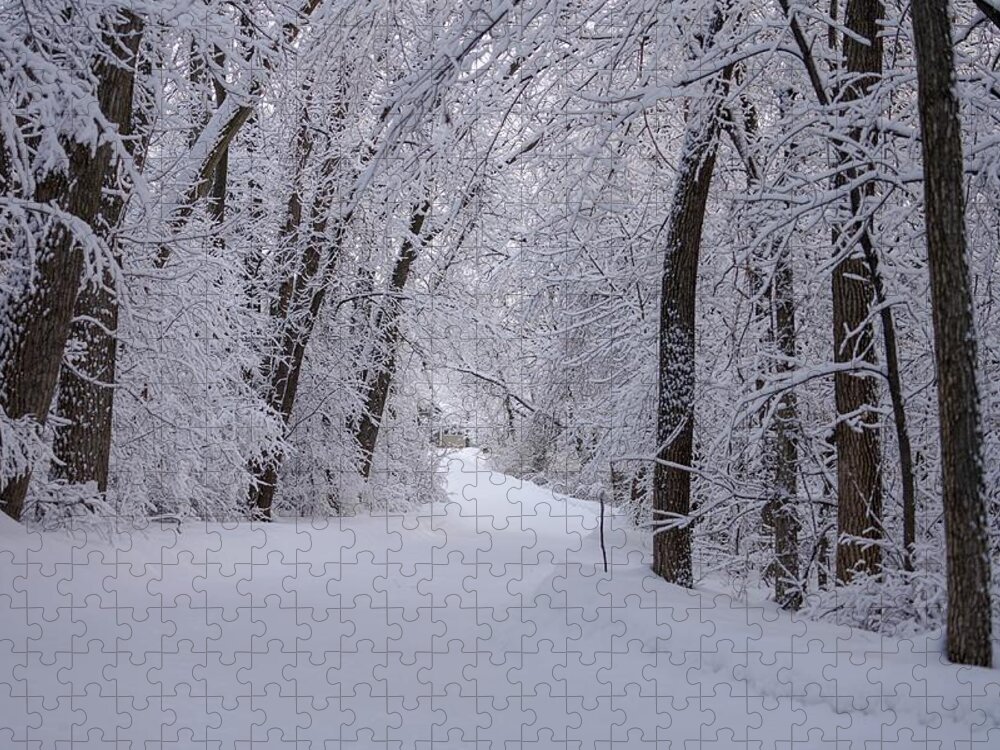 Winter Jigsaw Puzzle featuring the photograph Serenity II by Susan Rydberg
