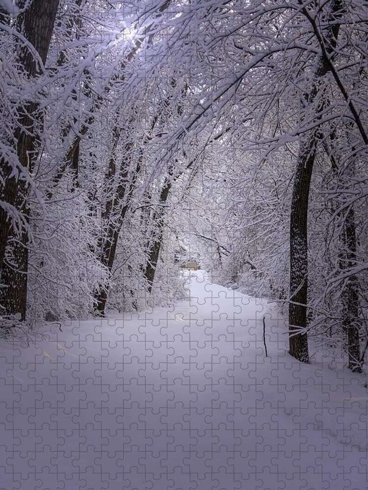 Winter Jigsaw Puzzle featuring the photograph Serenity by Susan Rydberg