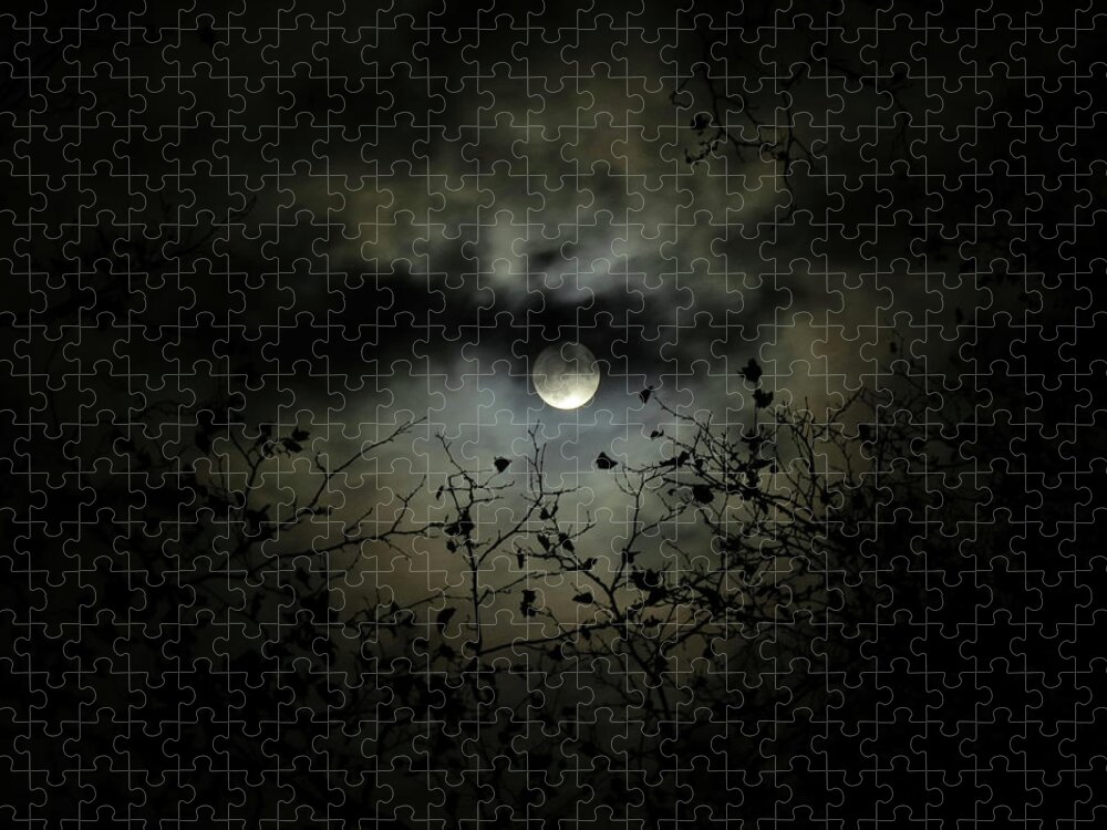Night Sky Jigsaw Puzzle featuring the photograph Shadow Moon by Linda Stern