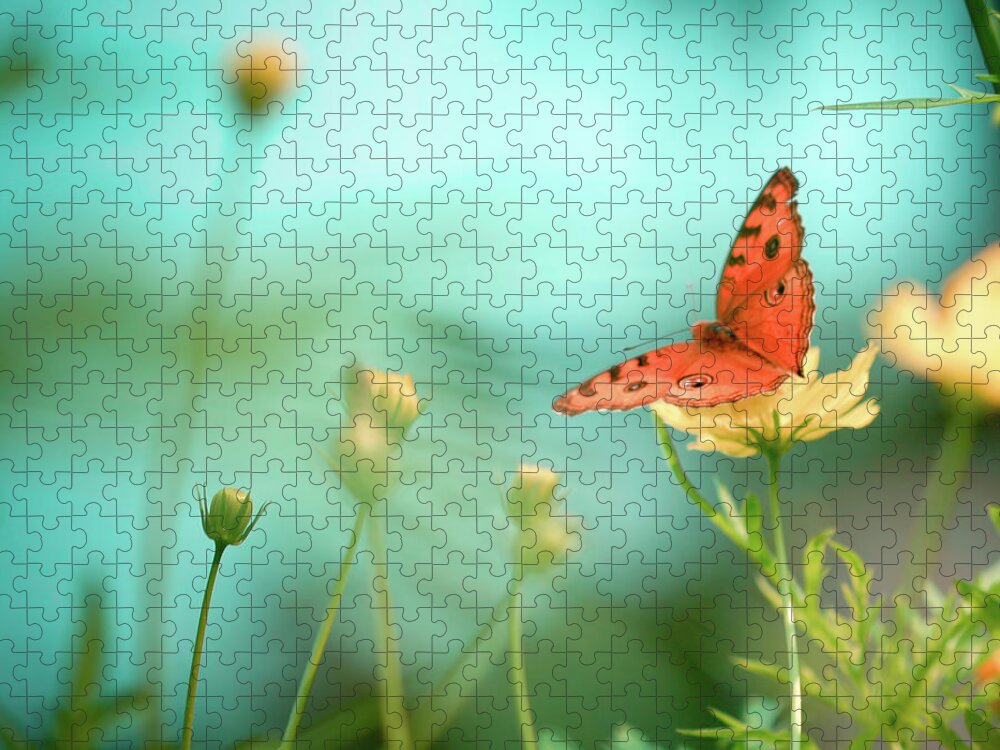 Animal Themes Jigsaw Puzzle featuring the photograph She Rests In Beauty by Patricia Ramos