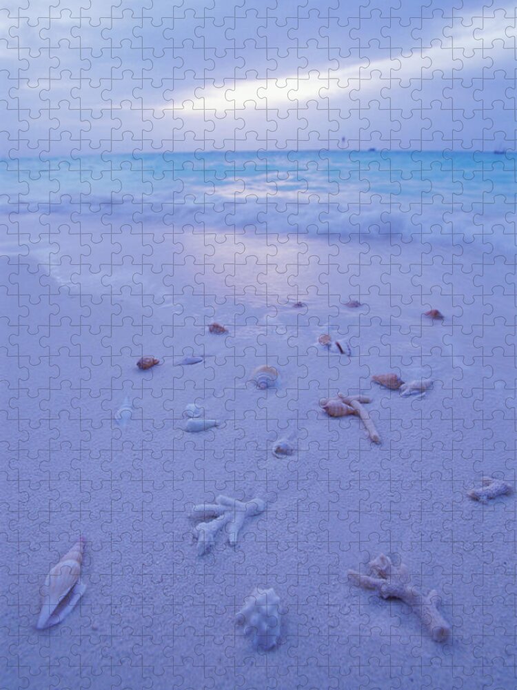 Animal Shell Jigsaw Puzzle featuring the photograph Shells And Driftwood On Beach, Dusk by Laurence Monneret