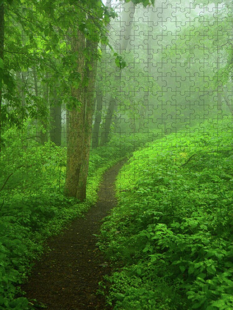 Shenandoah Spring Green At Jigsaw Puzzle featuring the photograph Shenandoah Spring Green AT by Raymond Salani III