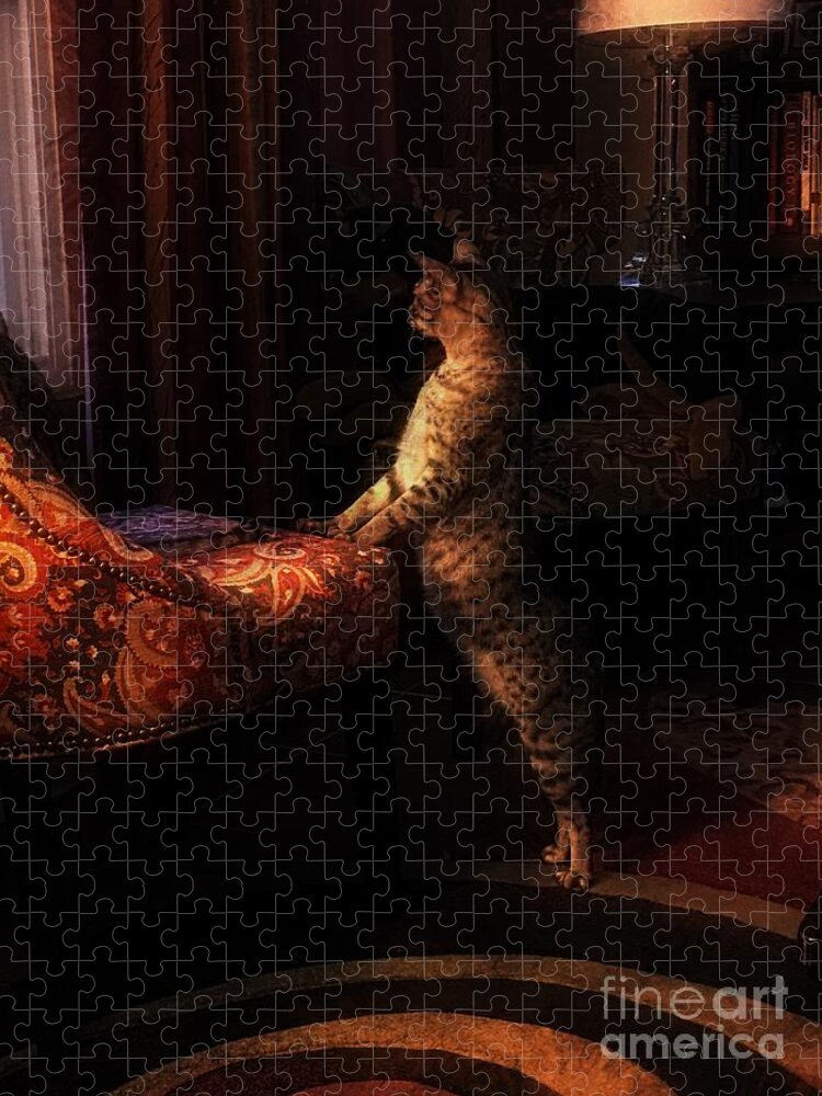 500 Views Jigsaw Puzzle featuring the photograph Showing Off His Pedigree by Jenny Revitz Soper