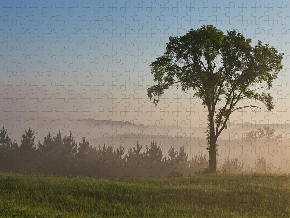 Fog Jigsaw Puzzle featuring the photograph Silence by Penny Meyers