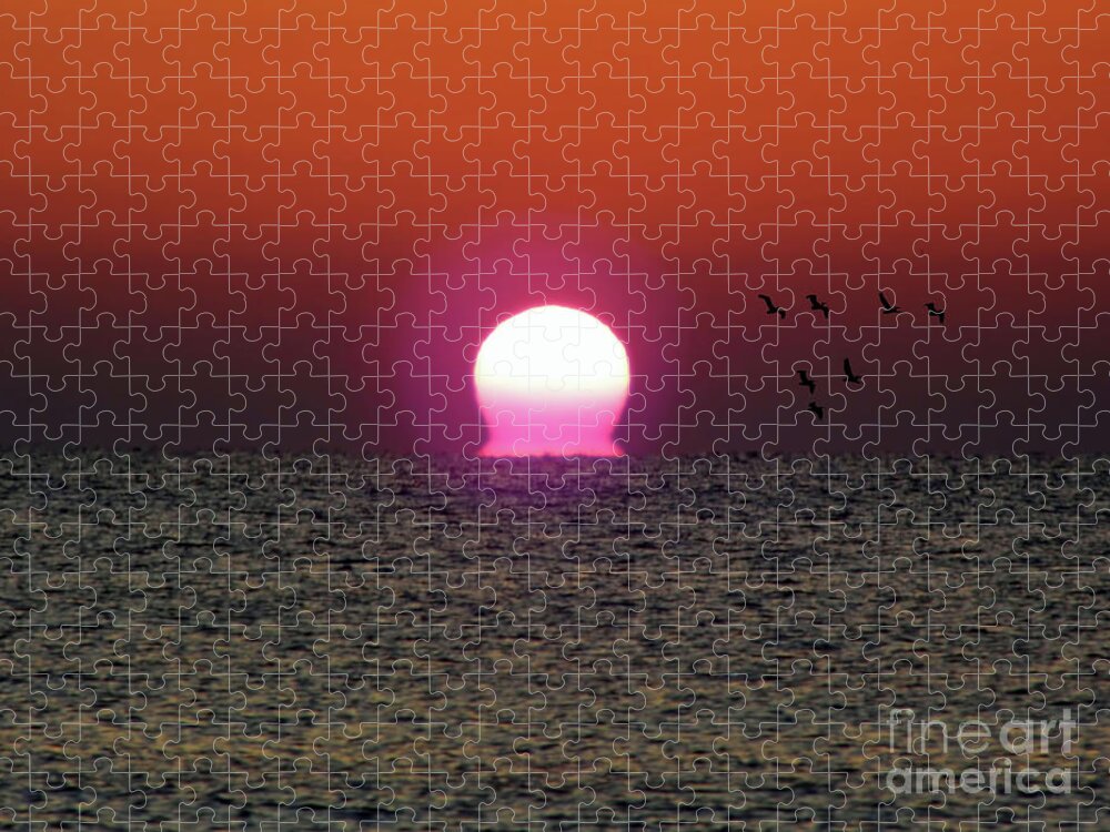 Sunrise Jigsaw Puzzle featuring the photograph Sizzling Sunrise by D Hackett