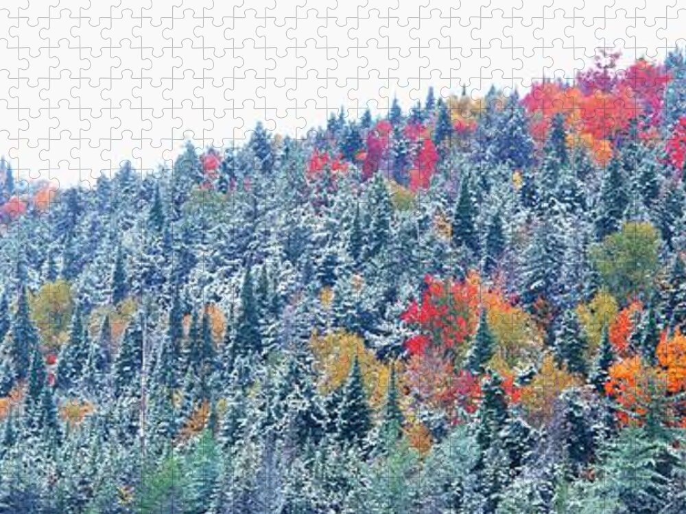 Scenics Jigsaw Puzzle featuring the photograph Snow And Autumn Trees, Adirondack by Visionsofamerica/joe Sohm