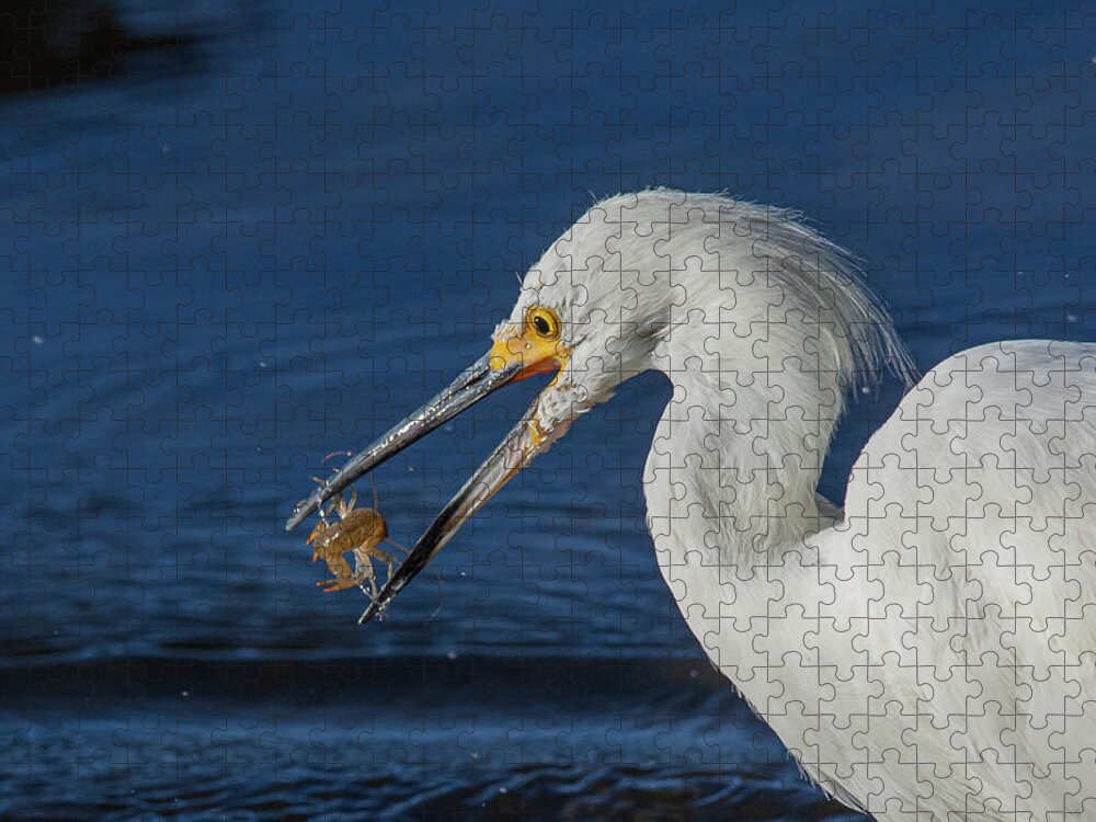 Snowy White Egret Jigsaw Puzzle featuring the photograph Snowy White Egret 2 by Rick Mosher