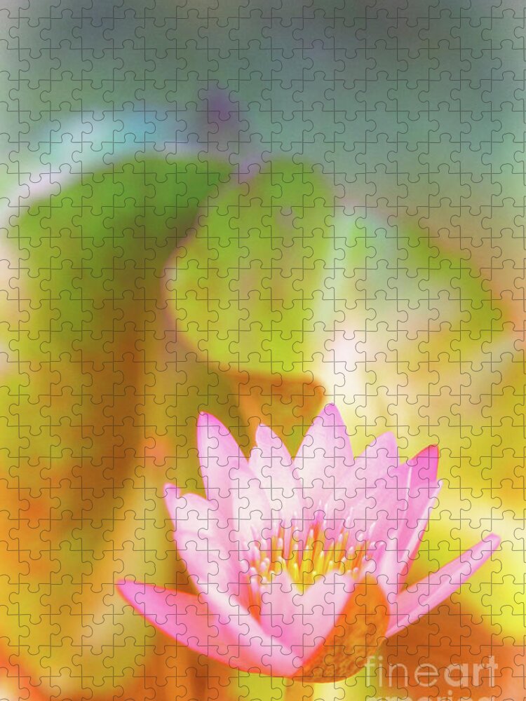 Pink Flower Jigsaw Puzzle featuring the photograph Soft and Light 4 by Becqi Sherman