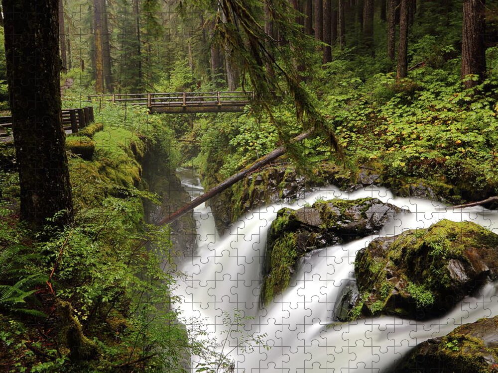Creek Jigsaw Puzzle featuring the photograph Sol Duc into the Chasm by David Andersen