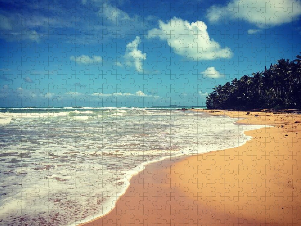 Beach Jigsaw Puzzle featuring the photograph Solitude Beach by Alice Terrill