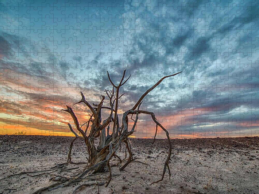 Tree Jigsaw Puzzle featuring the photograph Solitude by Denise LeBleu
