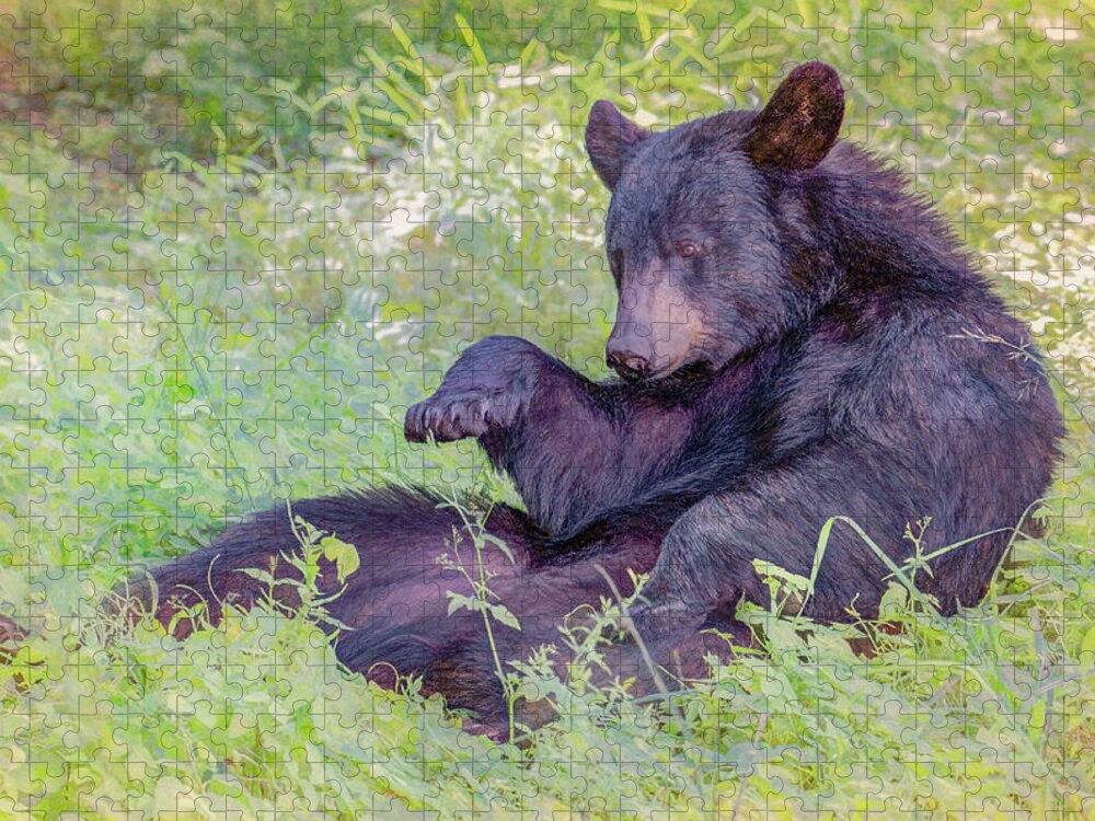  Jigsaw Puzzle featuring the photograph Sometimes a Bear Just Needs A Little Rest by Marcy Wielfaert