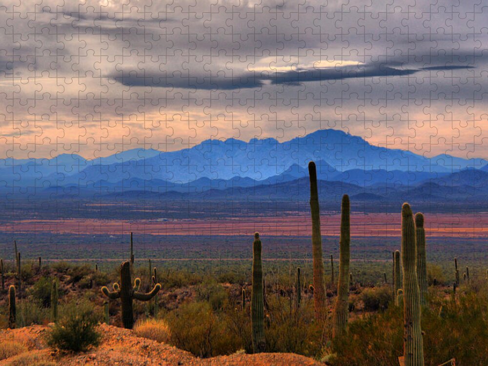 Scenics Jigsaw Puzzle featuring the photograph Sonoran Desert Floor by Lawrence Goldman Photography