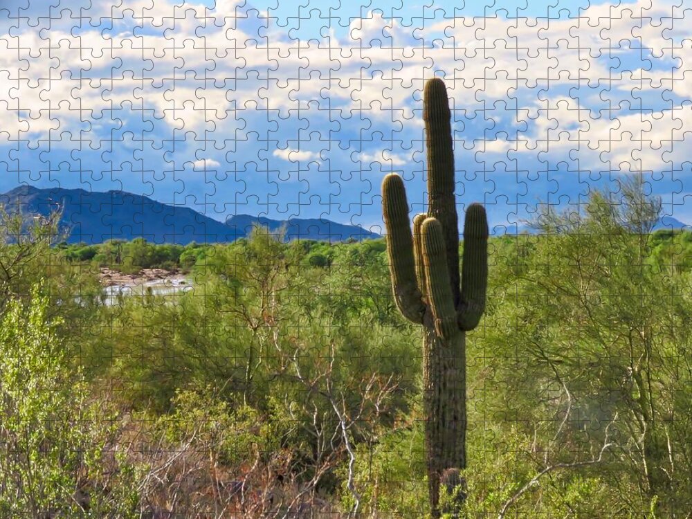 Arizona Jigsaw Puzzle featuring the photograph Sonoran Desert Landscape Post-Monsoon by Judy Kennedy