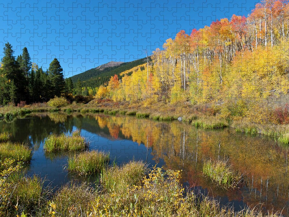 South Mount Elbert Jigsaw Puzzle featuring the photograph South Elbert Autumn Beauty by Cascade Colors