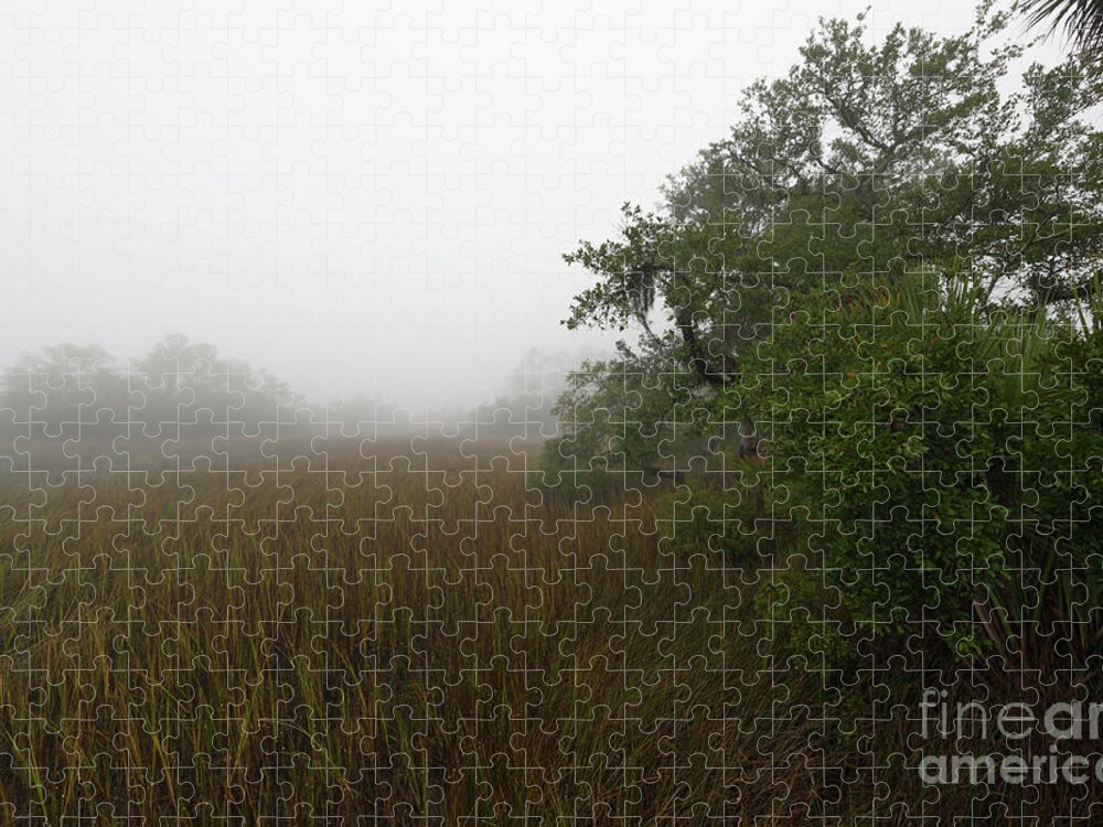 Fog Jigsaw Puzzle featuring the photograph Southern Framed Fog by Dale Powell