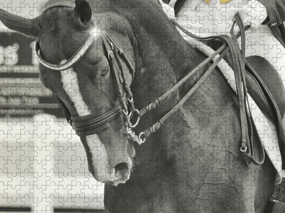 Are Jigsaw Puzzle featuring the photograph Sparkle Dressage by JAMART Photography
